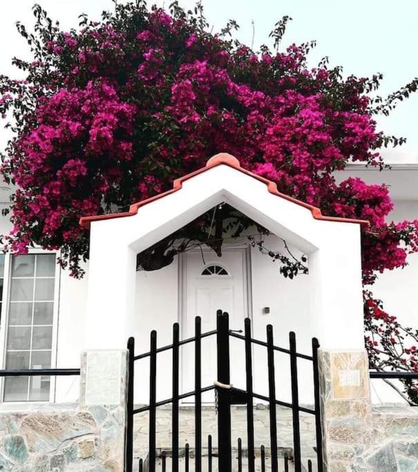 Annika'S Summer Dream Livadia  Buitenkant foto
